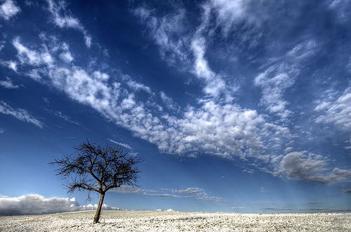 landscape photography inspiration examples