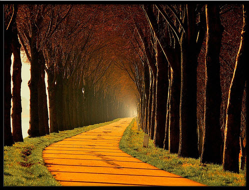 landscape photography inspiration examples