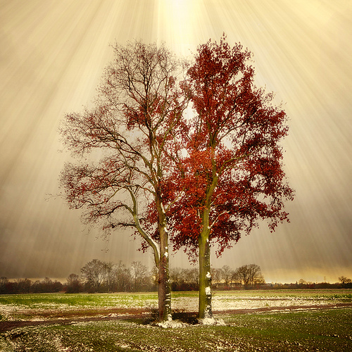 landscape photography inspiration examples