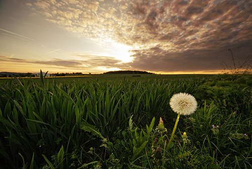 landscape photography inspiration examples