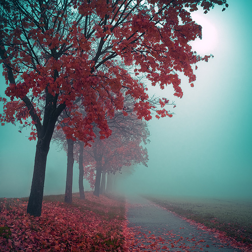 landscape photography inspiration examples