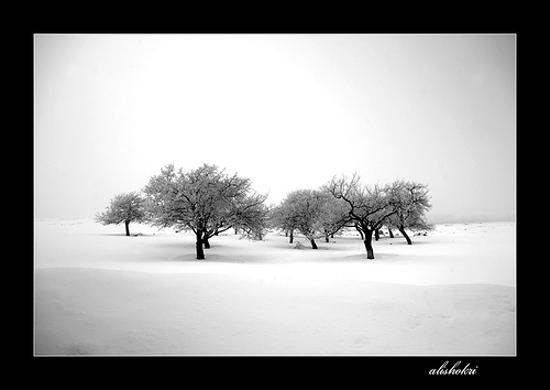 landscape photography inspiration examples