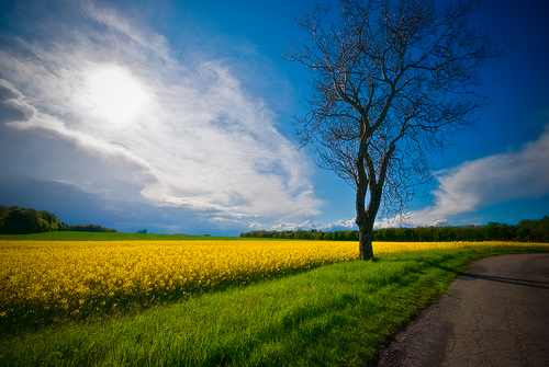 landscape photography inspiration examples