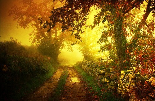 landscape photography inspiration examples