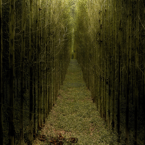 landscape photography inspiration examples