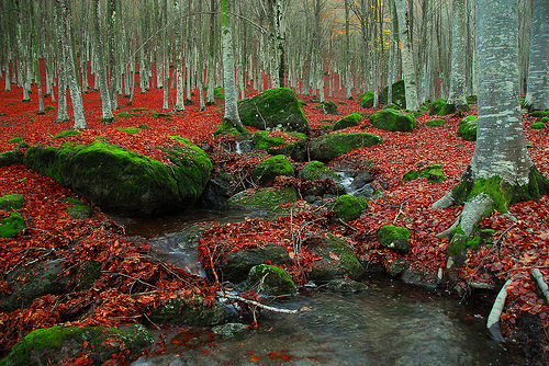 landscape photography inspiration examples