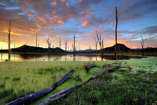 landscape photography inspiration examples