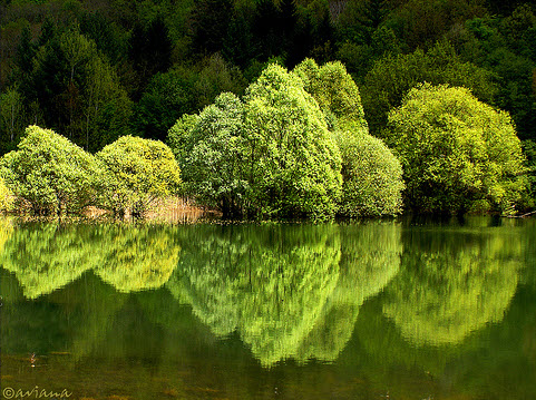 landscape photography inspiration examples