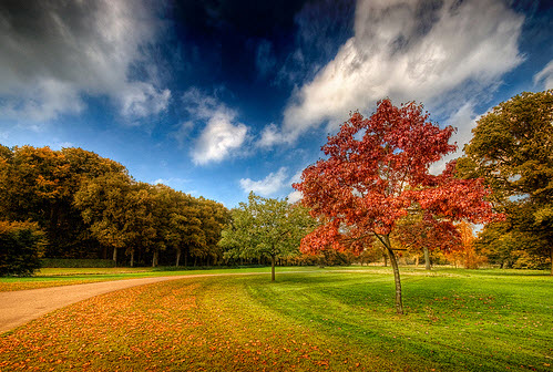 landscape photography inspiration examples