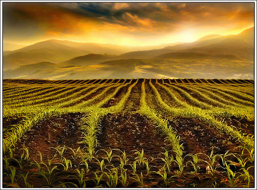 landscape photography inspiration examples