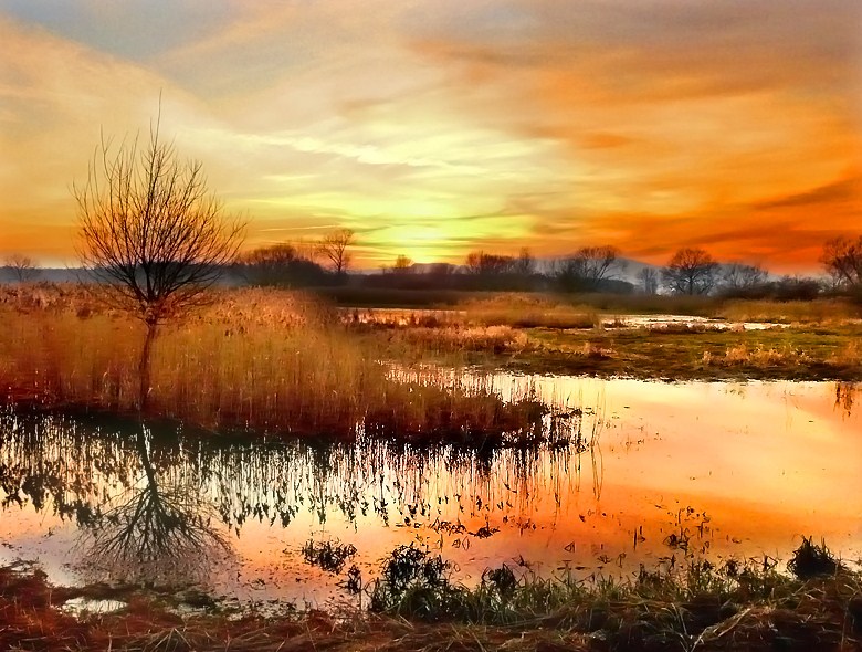landscape photography inspiration examples