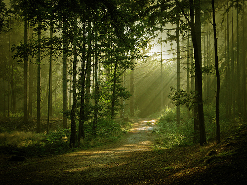 landscape photography inspiration examples
