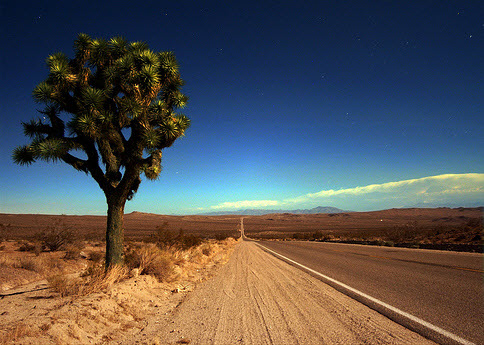 landscape photography inspiration examples