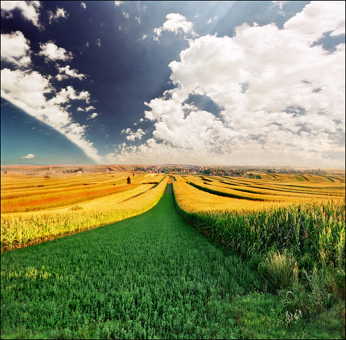 landscape photography inspiration examples