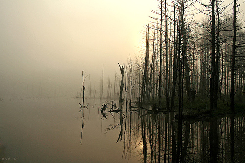landscape photography inspiration examples