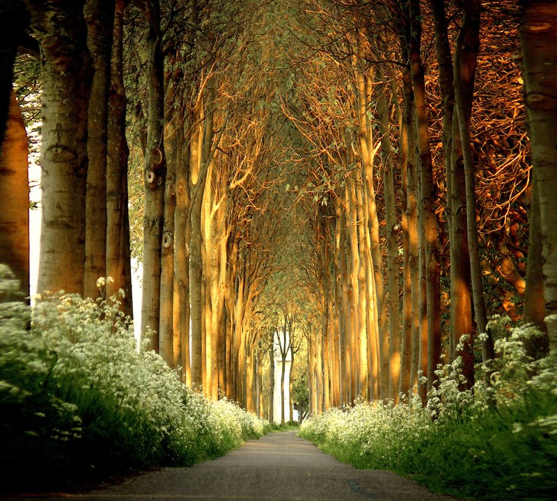 landscape photography inspiration examples