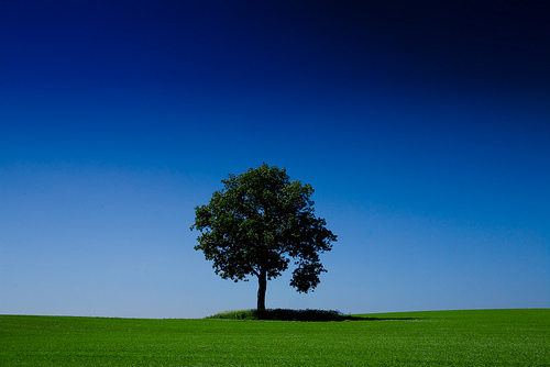 landscape photography inspiration examples