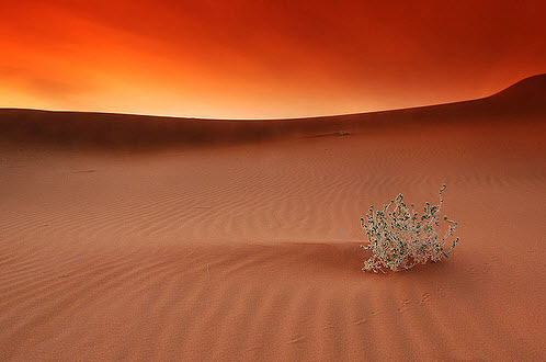 landscape photography inspiration examples