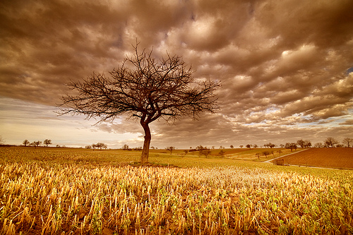 landscape photography inspiration examples