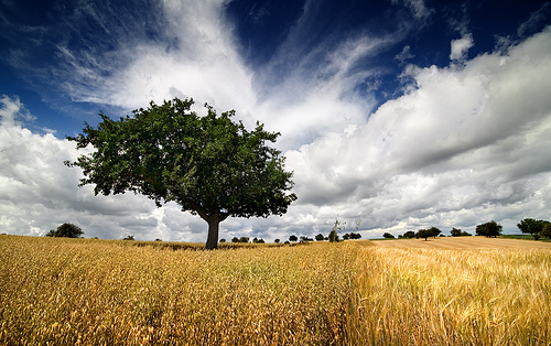landscape photography inspiration examples