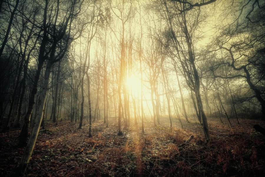 landscape photography inspiration examples