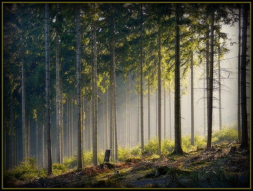 landscape photography inspiration examples