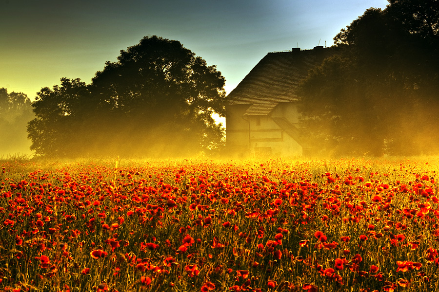 landscape photography inspiration examples