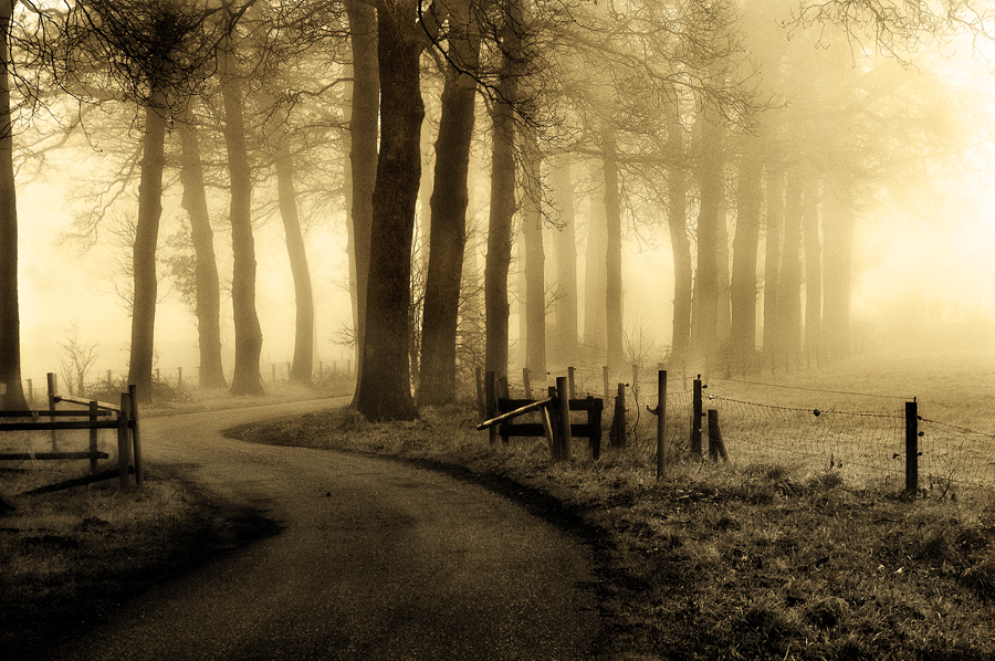 landscape photography inspiration examples