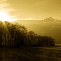 Landscapes