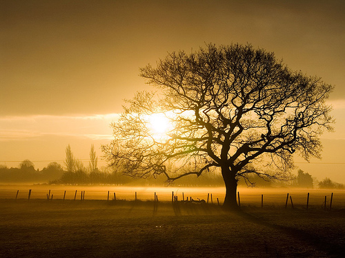landscape photography inspiration examples