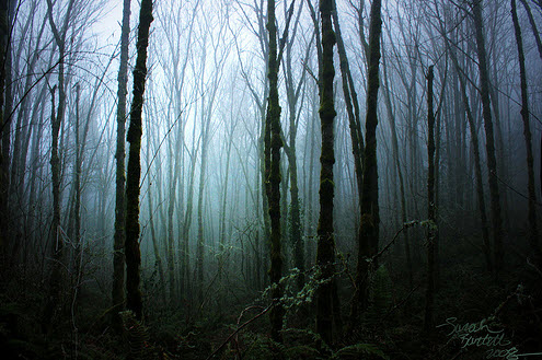 landscape photography inspiration examples