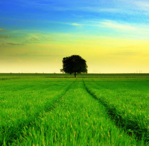 landscape photography inspiration examples