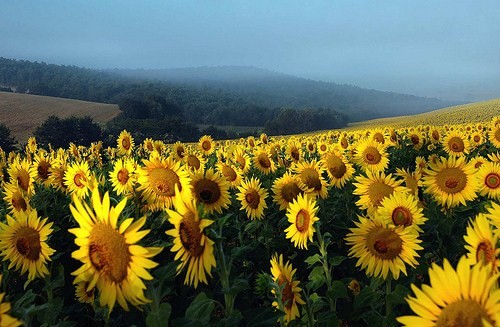 landscape photography inspiration examples