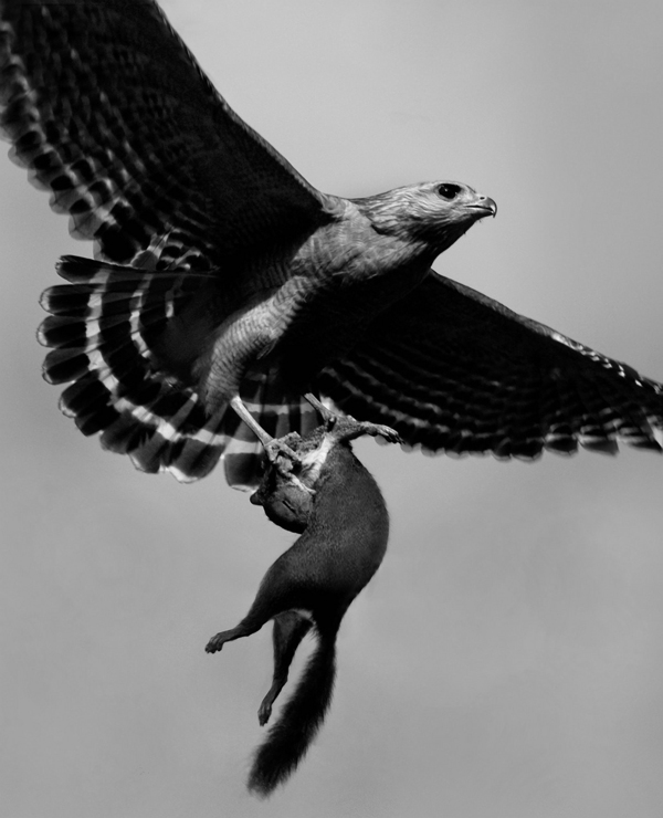 Photo Critique