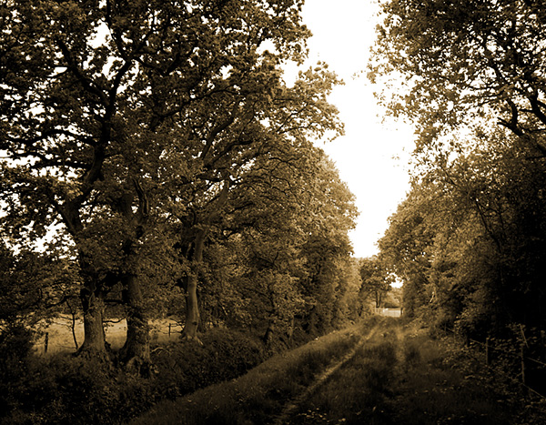fine art landscape photography