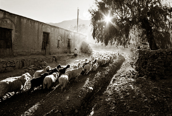 fine art landscape photography