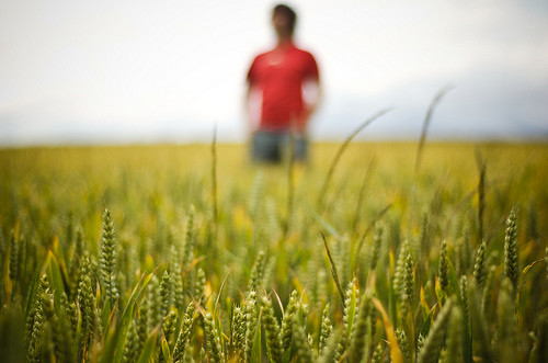 nifty fifty 50mm photography