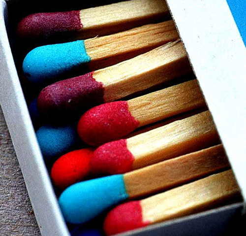 macro photography examples inspiration