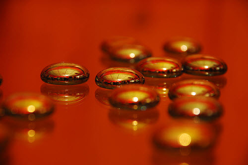 macro photography examples inspiration