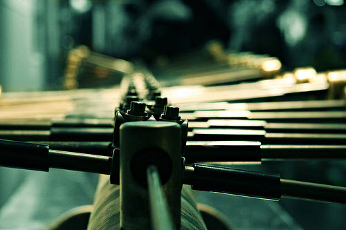 macro photography examples inspiration