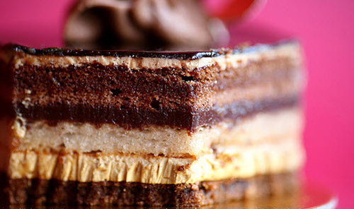 macro photography examples inspiration
