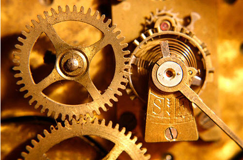 macro photography examples inspiration