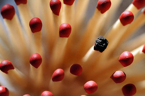 macro photography examples inspiration