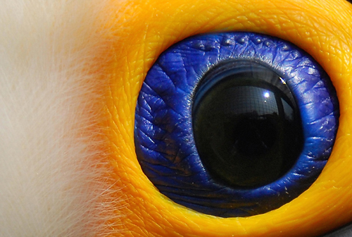 macro photography examples inspiration