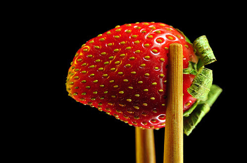 macro photography examples inspiration