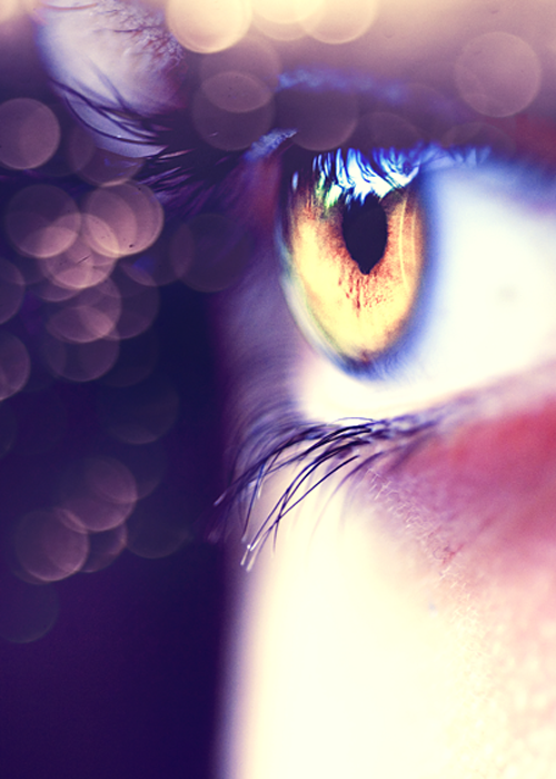 macro photography examples inspiration