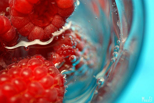macro photography examples inspiration