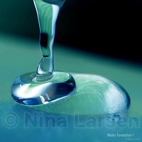 macro photography examples inspiration