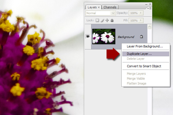high pass filter photoshop