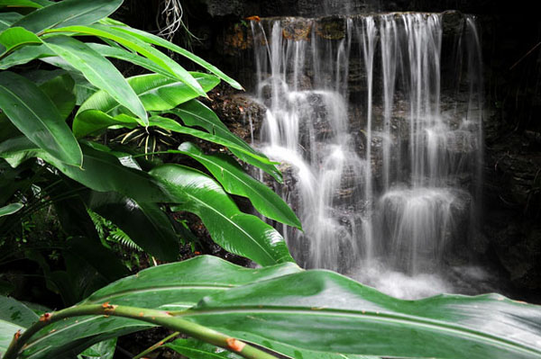 slow shutter speed tutorial